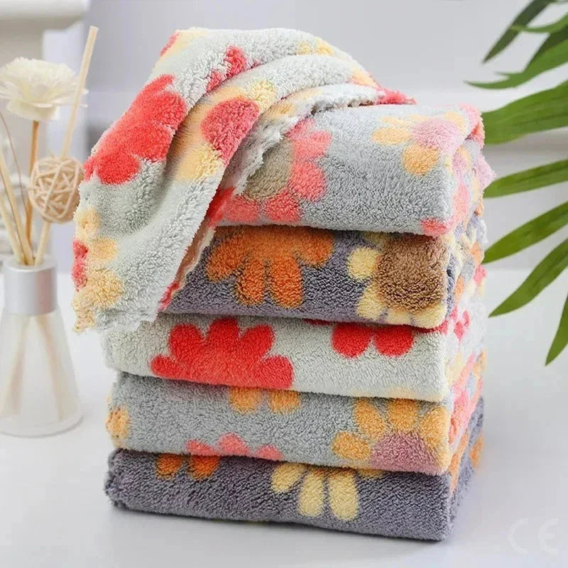 4PCS Kitchen Cleaning Cloths – Soft Absorbent Coral Fleece Dish Towels - P's One-Stop Shop 