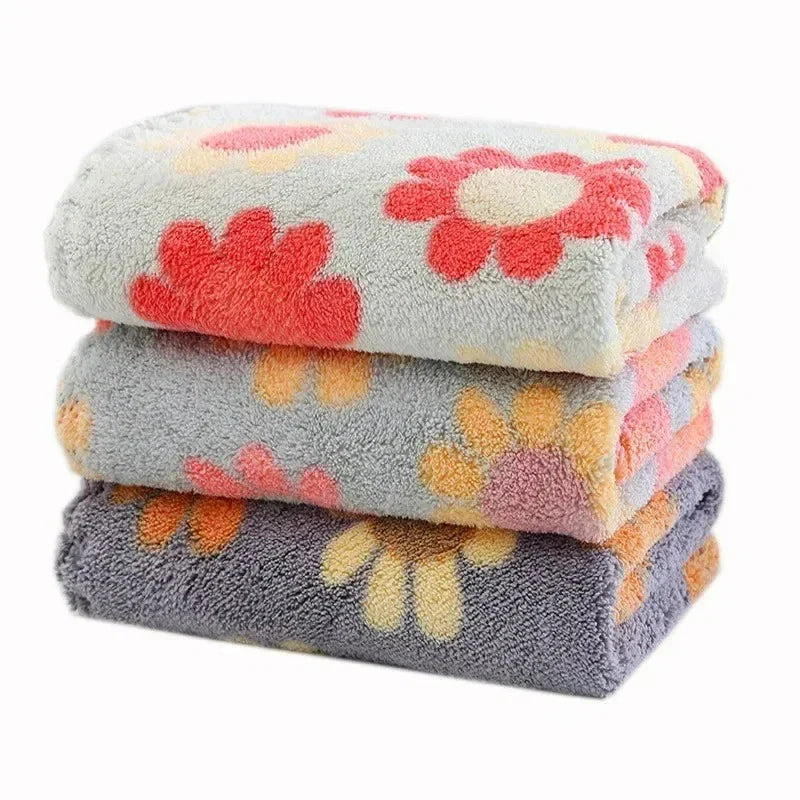 4PCS Kitchen Cleaning Cloths – Soft Absorbent Coral Fleece Dish Towels - P's One-Stop Shop 