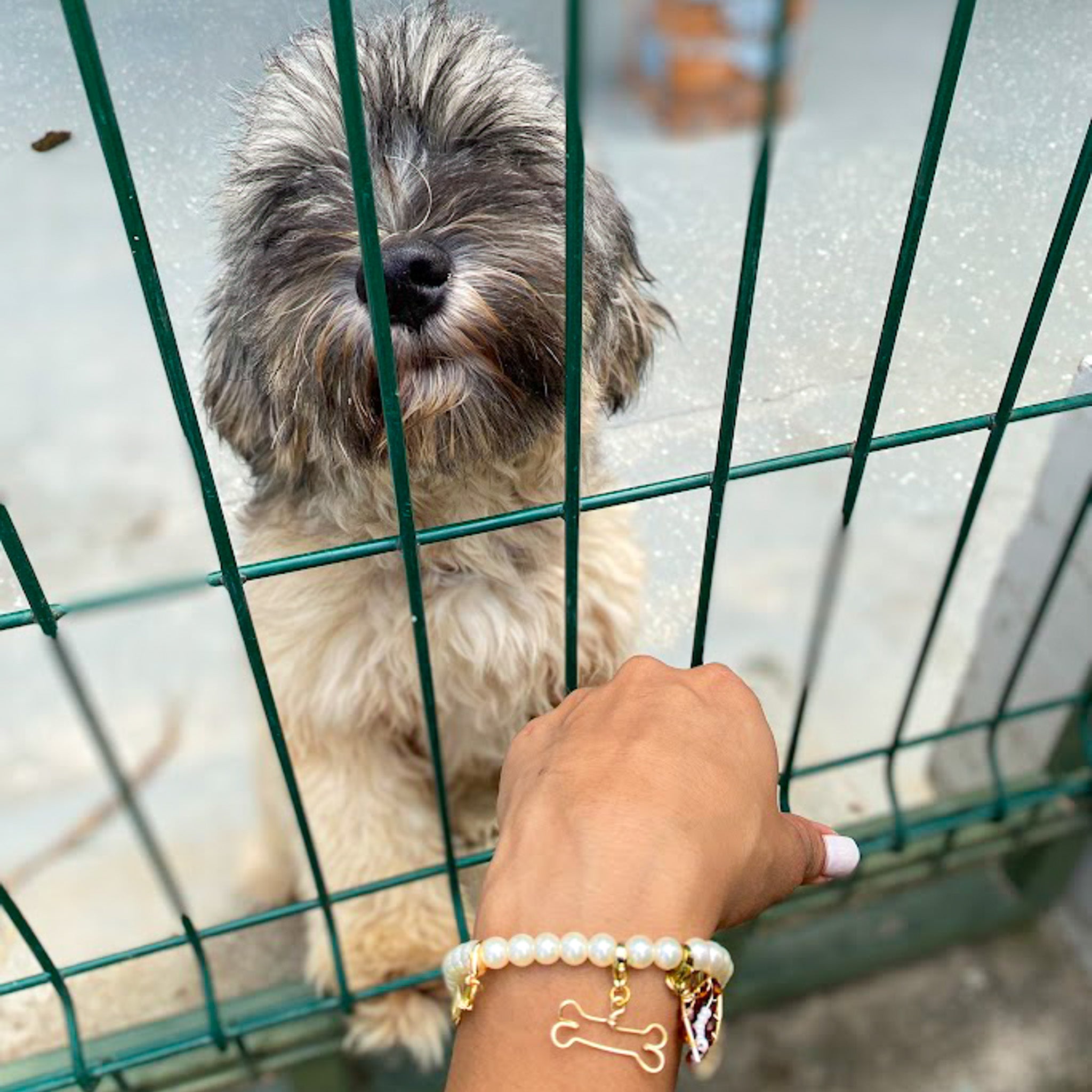 Charming bracelet - P's One-Stop Shop 