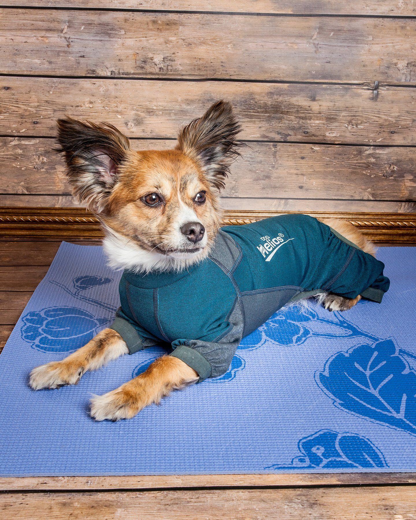 Dog Helios ® 'Rufflex' Mediumweight 4-Way-Stretch Fitness Yoga Dog Tracksuit Jacket - P's One-Stop Shop 