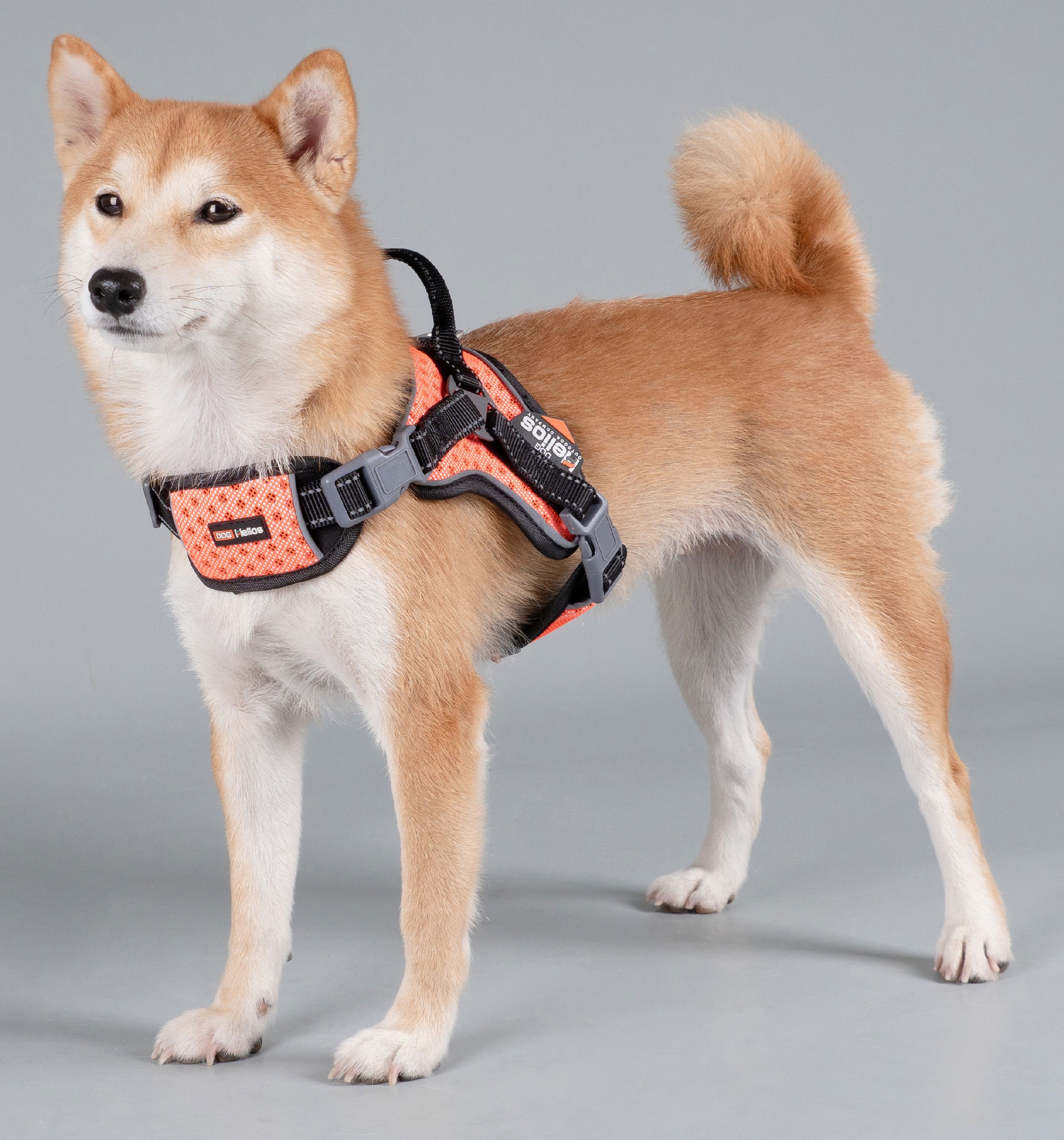 Dog Helios ® 'Scorpion' Sporty High-Performance Free-Range Dog Harness - P's One-Stop Shop 