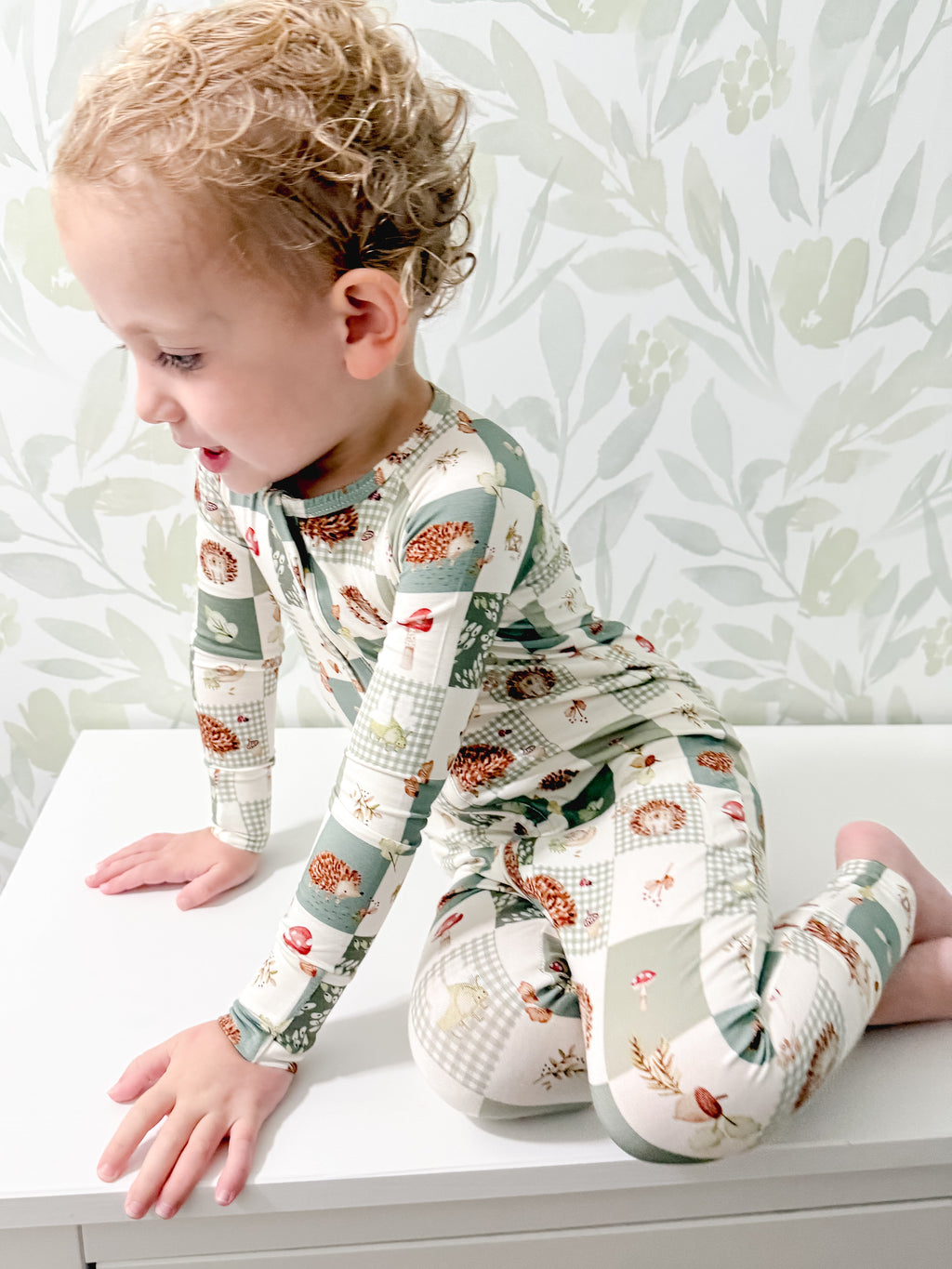 Harvest Hedgehogs Bamboo Zippy Pajamas - P's One-Stop Shop 