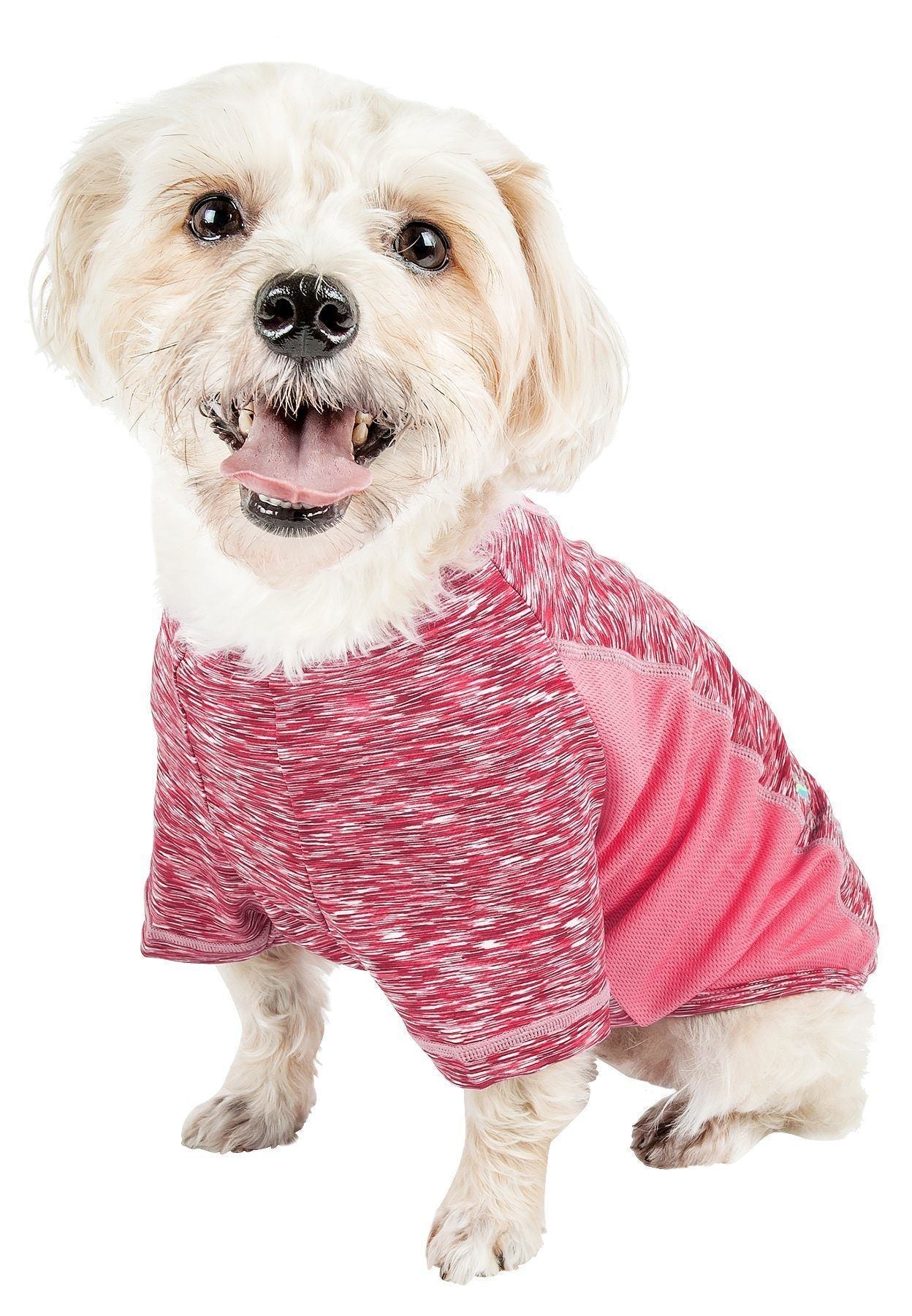 Pet Life ® Active 'Warf Speed' Heathered Ultra-Stretch Yoga Fitness Dog T-Shirt - P's One-Stop Shop 