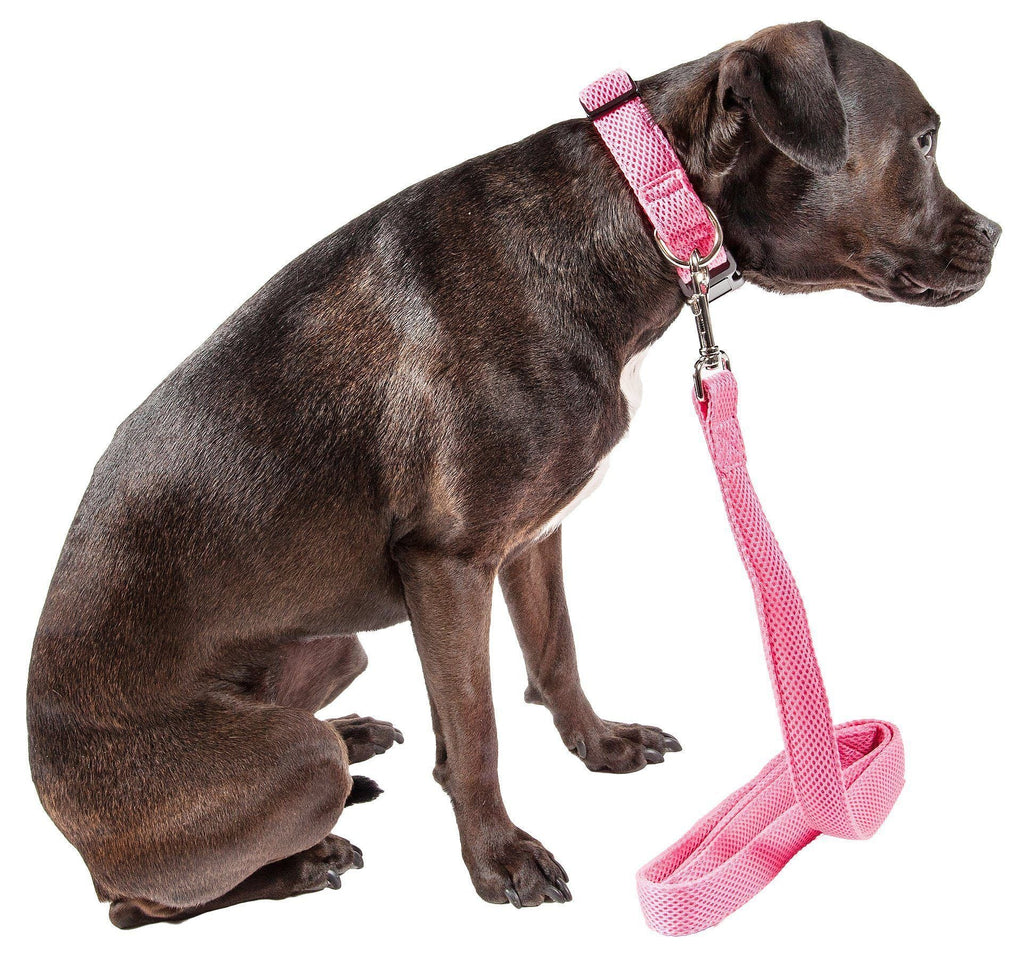 Pet Life ® 'Aero Mesh' 2-In-1 Breathable and Adjustable Dual-Sided Mesh Dog Leash and Collar - P's One-Stop Shop 