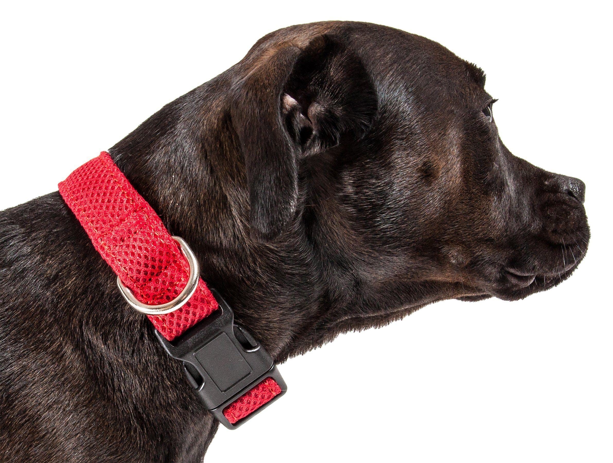 Pet Life ®  'Aero Mesh' Dual-Sided Breathable and Adjustable Thick Mesh Dog Collar - P's One-Stop Shop 