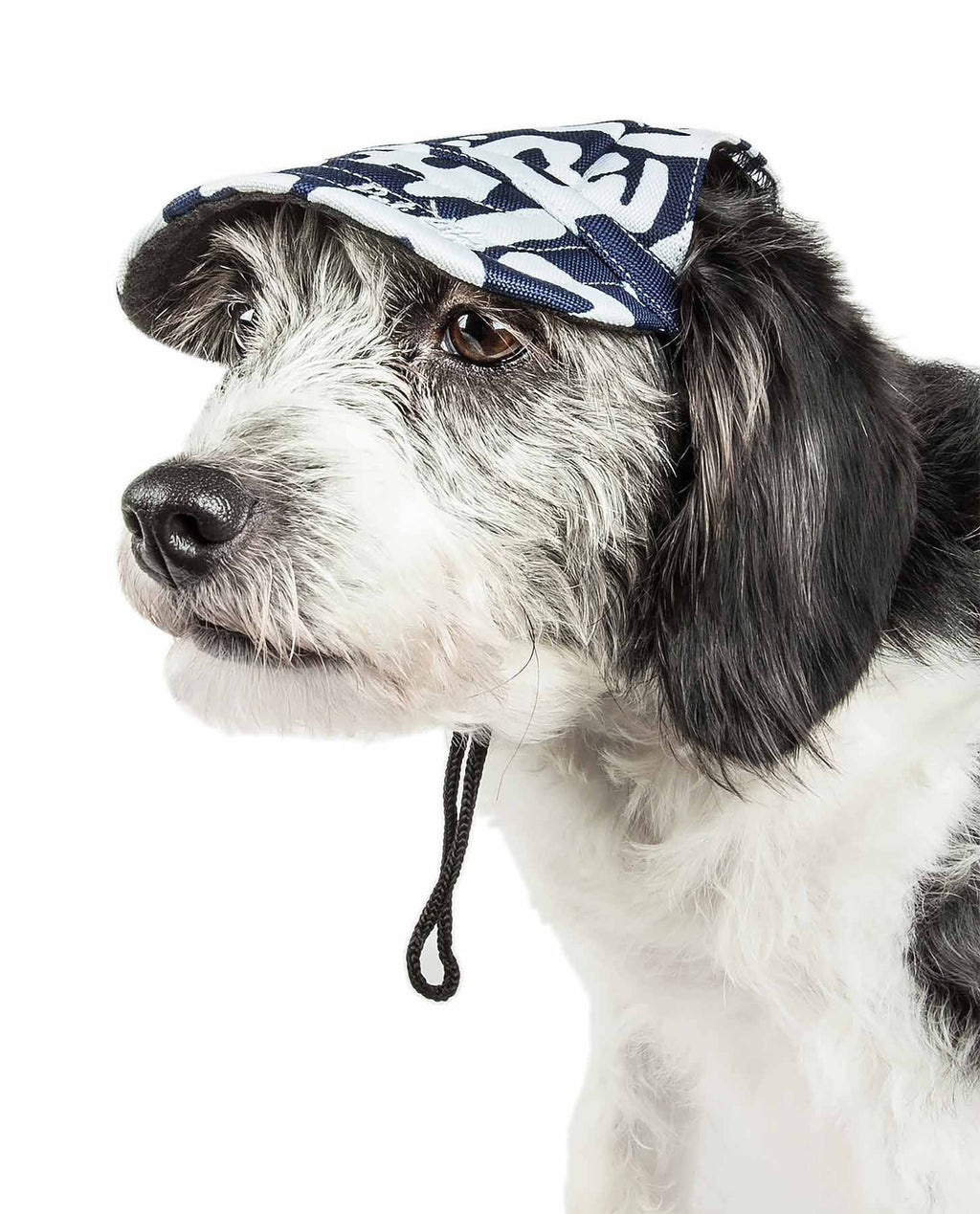 Pet Life ®  'Bone Cappa' Graffiti Sculptured Uv Protectant Adjustable Fashion Dog Hat Cap - P's One-Stop Shop 