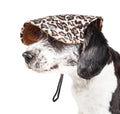 Pet Life ®  'Cheetah Bonita' Cheetah Patterned Uv Protectant Adjustable Fashion Dog Hat Cap - P's One-Stop Shop 