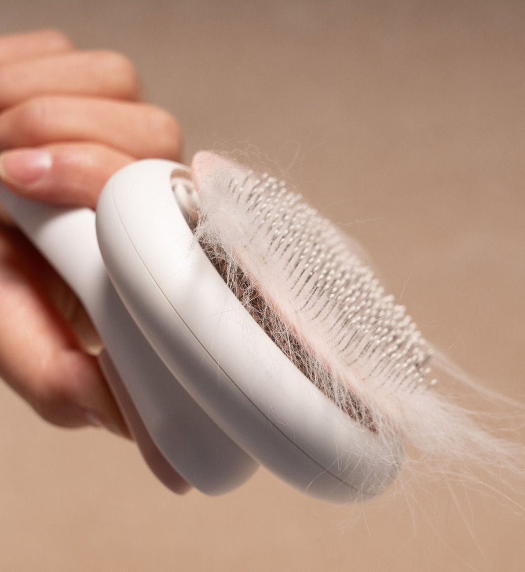 Pet Life ® 'Concepto' Modern Bristle Grooming Pet Deshedder Comb - P's One-Stop Shop 