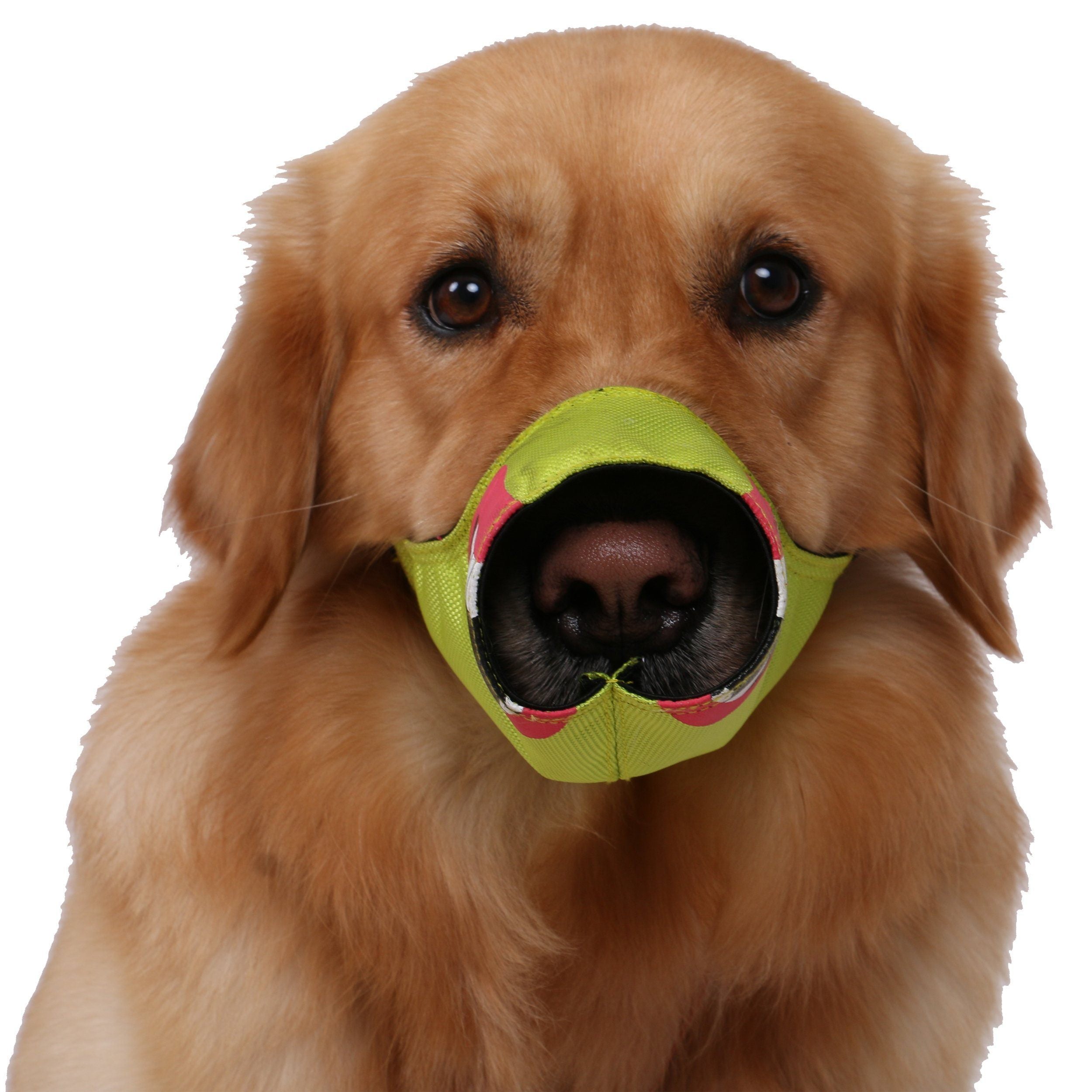 Pet Life ® 'Funimation' Animated Nylon Mesh Protective Travel Anti-Bark Dog Muzzle - P's One-Stop Shop 