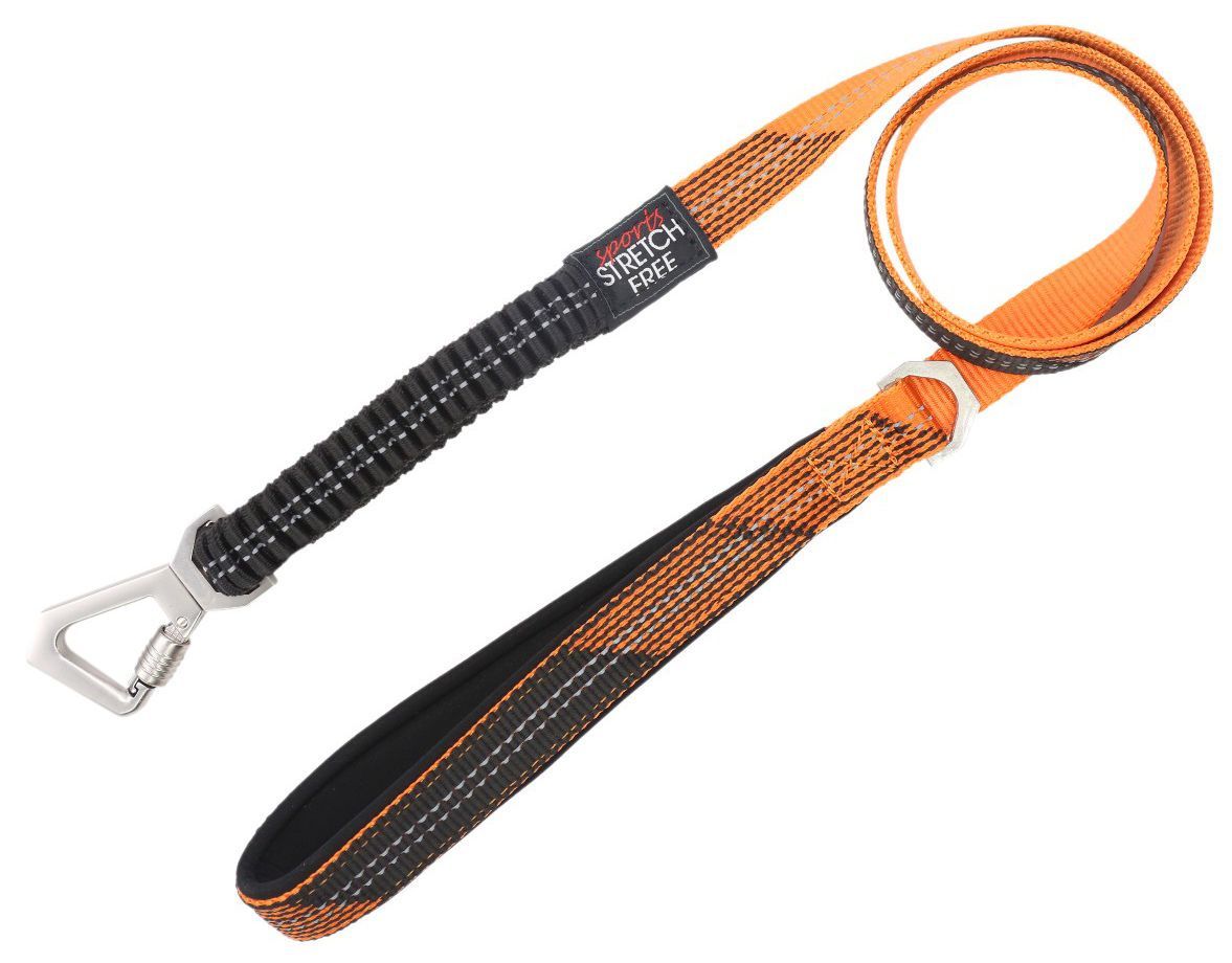 Pet Life ® 'Geo-prene' 2-in-1 Shock Absorbing Neoprene Padded Reflective Dog Leash and Harness - P's One-Stop Shop 