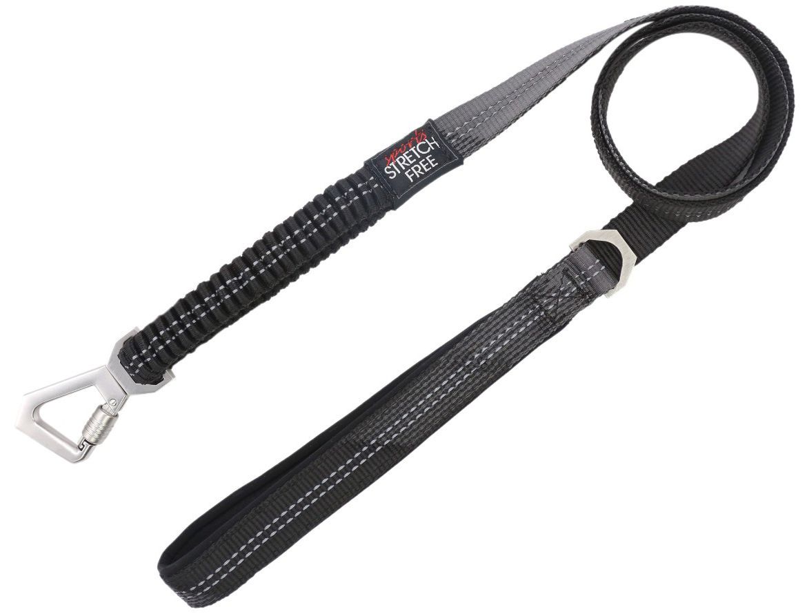 Pet Life ® 'Geo-prene' 2-in-1 Shock Absorbing Neoprene Padded Reflective Dog Leash and Harness - P's One-Stop Shop 