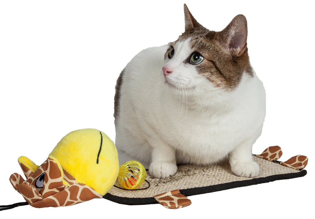Pet Life ® 'Paw-Pleasant' Hanging Sisal & Jute Carpet Kitty Cat Scratcher with Toy - P's One-Stop Shop 