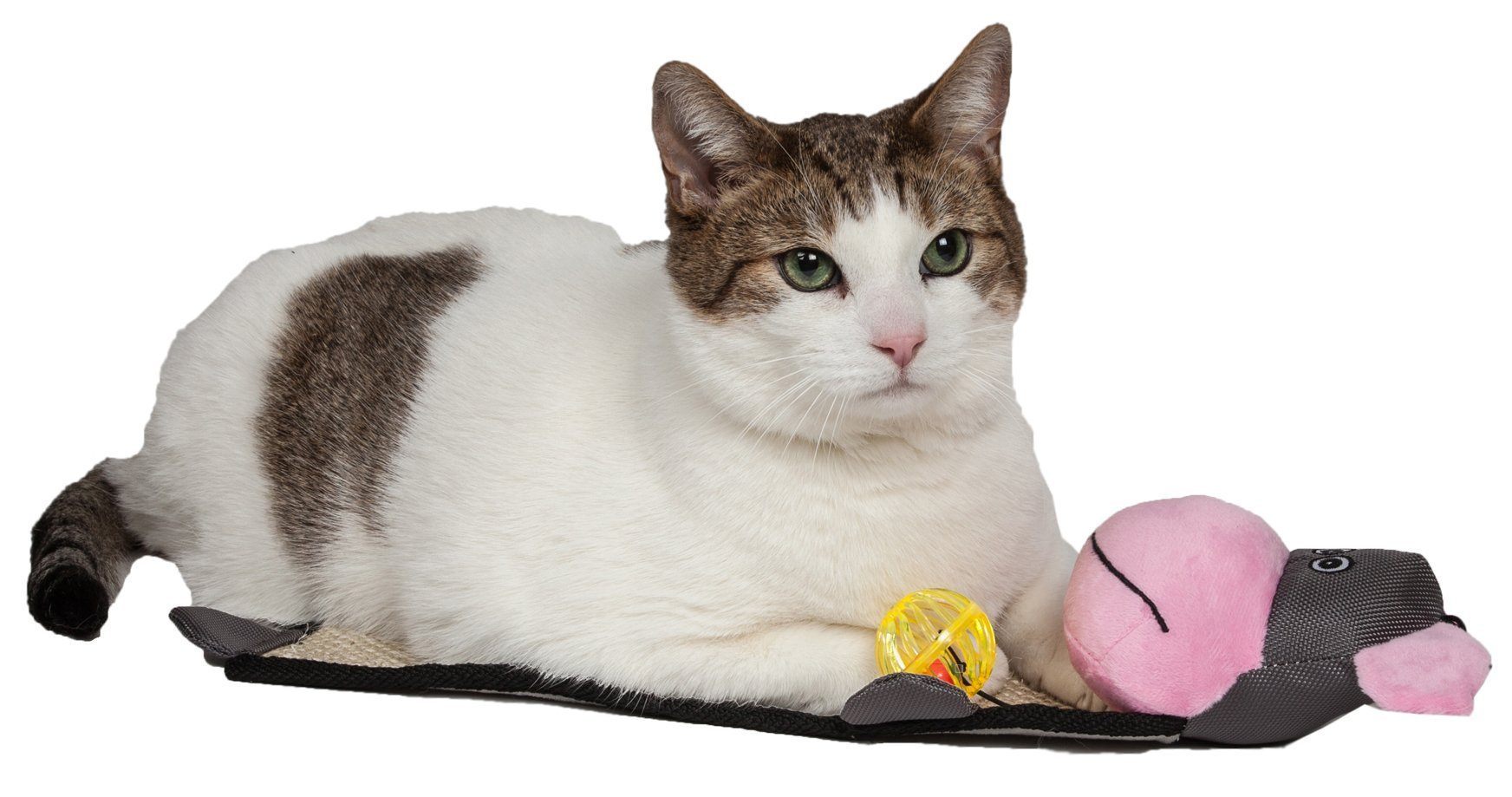 Pet Life ® 'Paw-Pleasant' Hanging Sisal & Jute Carpet Kitty Cat Scratcher with Toy - P's One-Stop Shop 