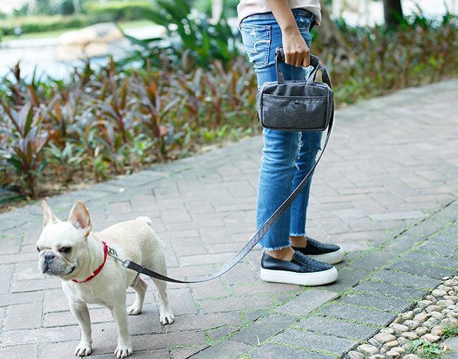 Pet Life ® 'Posh Walk' Purse Dog Leash, Accessory Holder and Waste Bag Dispenser - P's One-Stop Shop 