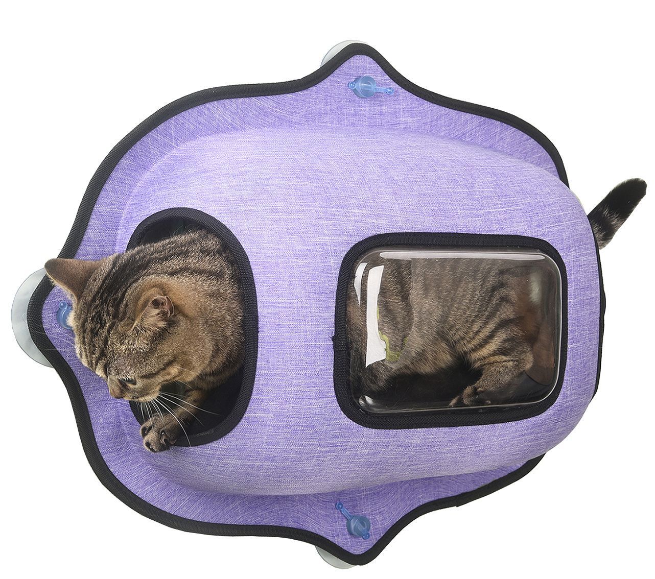 Pet Life ® 'Purr-view' See-through Suction Cup Kitty Cat Lounger and Bed - P's One-Stop Shop 