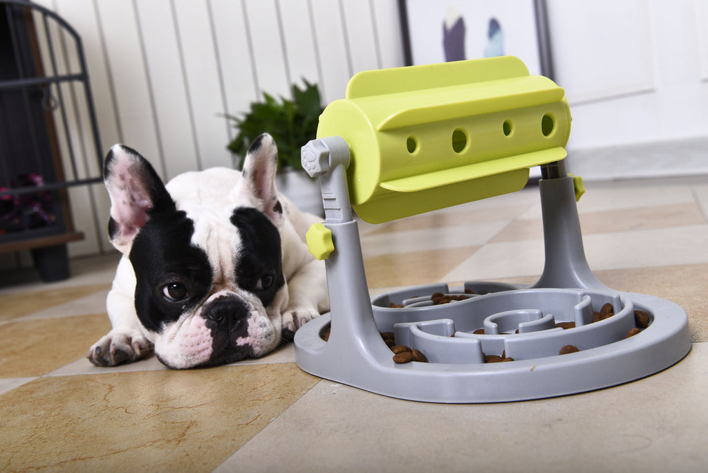 Pet Life ® 'Roto Paw' IQ Training Interactive Rotating Slow Dog Feeder - P's One-Stop Shop 