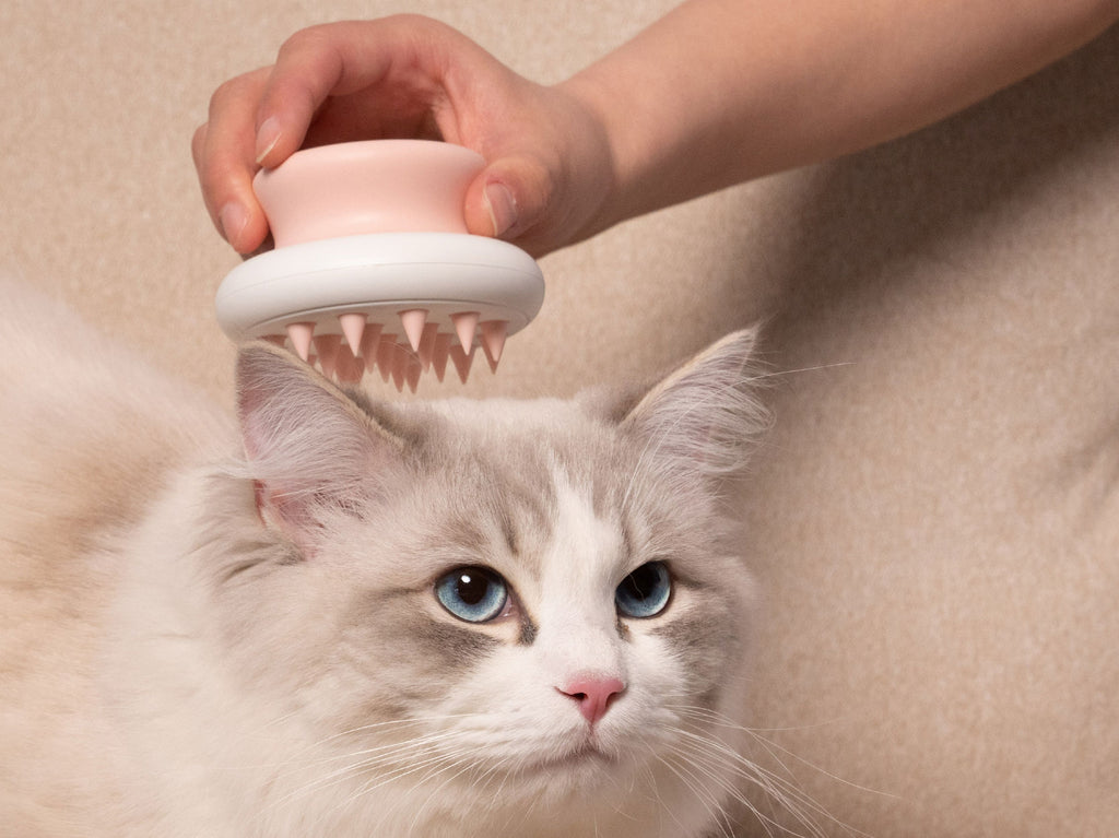 Pet Life ® 'Scwubba' Handheld Bathing Brushing and Massaging Soft Flexible Grooming Pet Comb - P's One-Stop Shop 