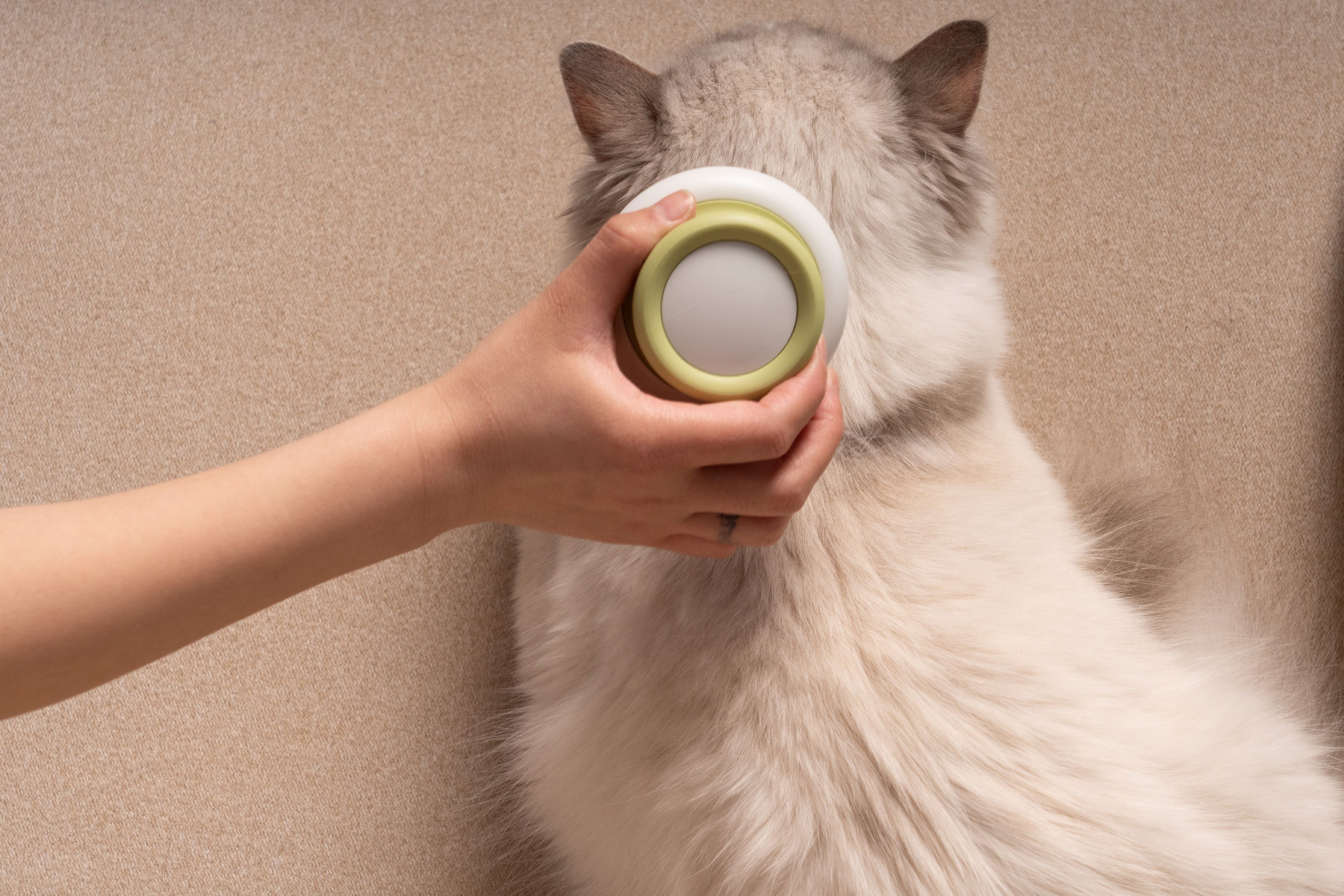 Pet Life ® 'Scwubba' Handheld Bathing Brushing and Massaging Soft Flexible Grooming Pet Comb - P's One-Stop Shop 