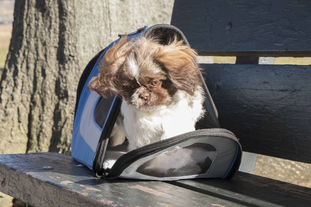 Pet Life ® Sporty Mesh Airline Approved Zippered Folding Collapsible Travel Pet Dog Carrier - P's One-Stop Shop 