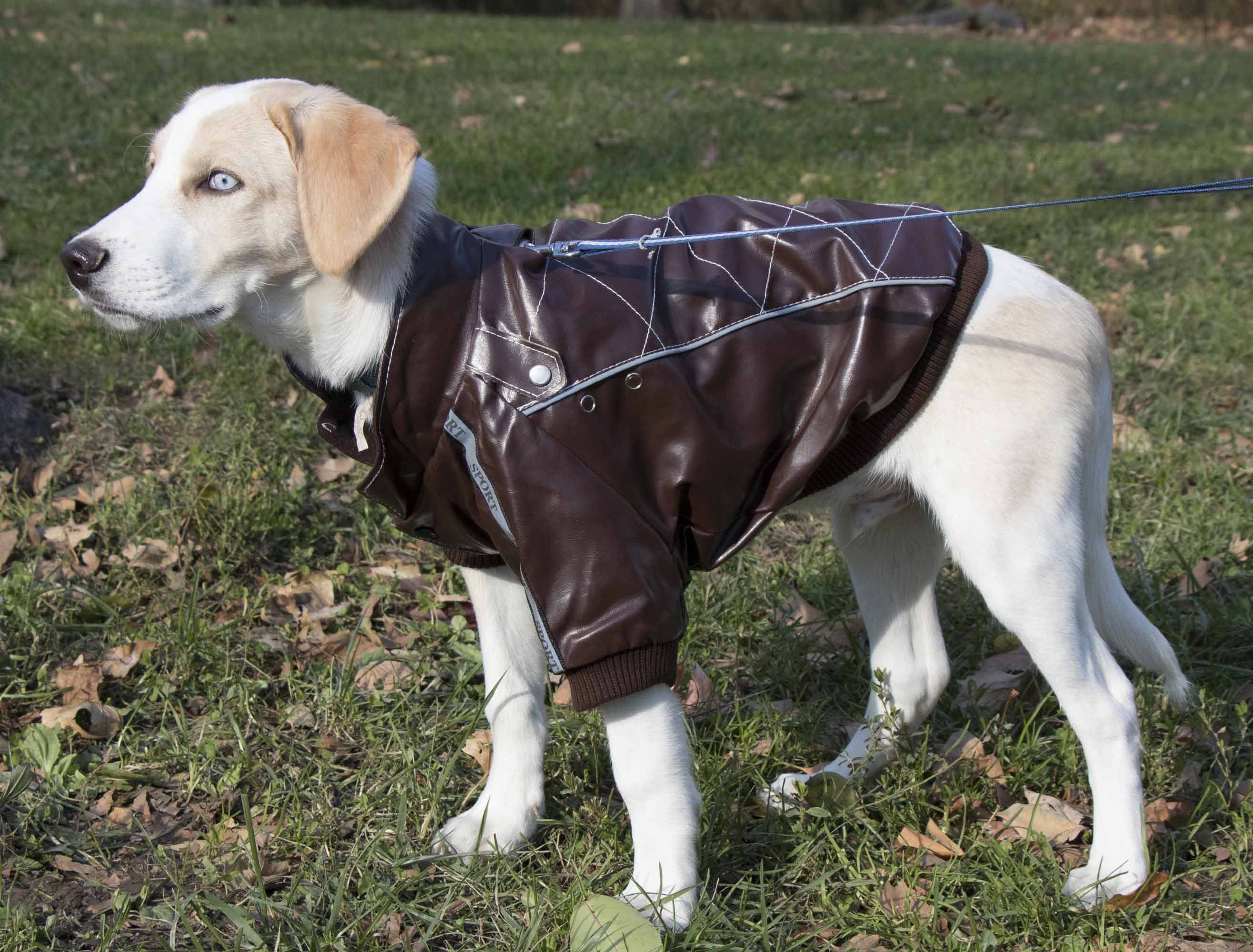 Pet Life ® 'Wuff-Rider' Fashion Suede Stitched Dog Jacket - P's One-Stop Shop 