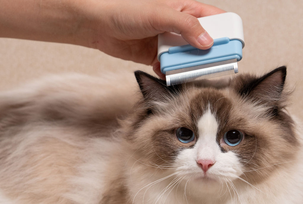 Pet Life ® 'Zipocket' 2-in-1 Underake and Stainless Steel Travel Grooming Pet Comb - P's One-Stop Shop 