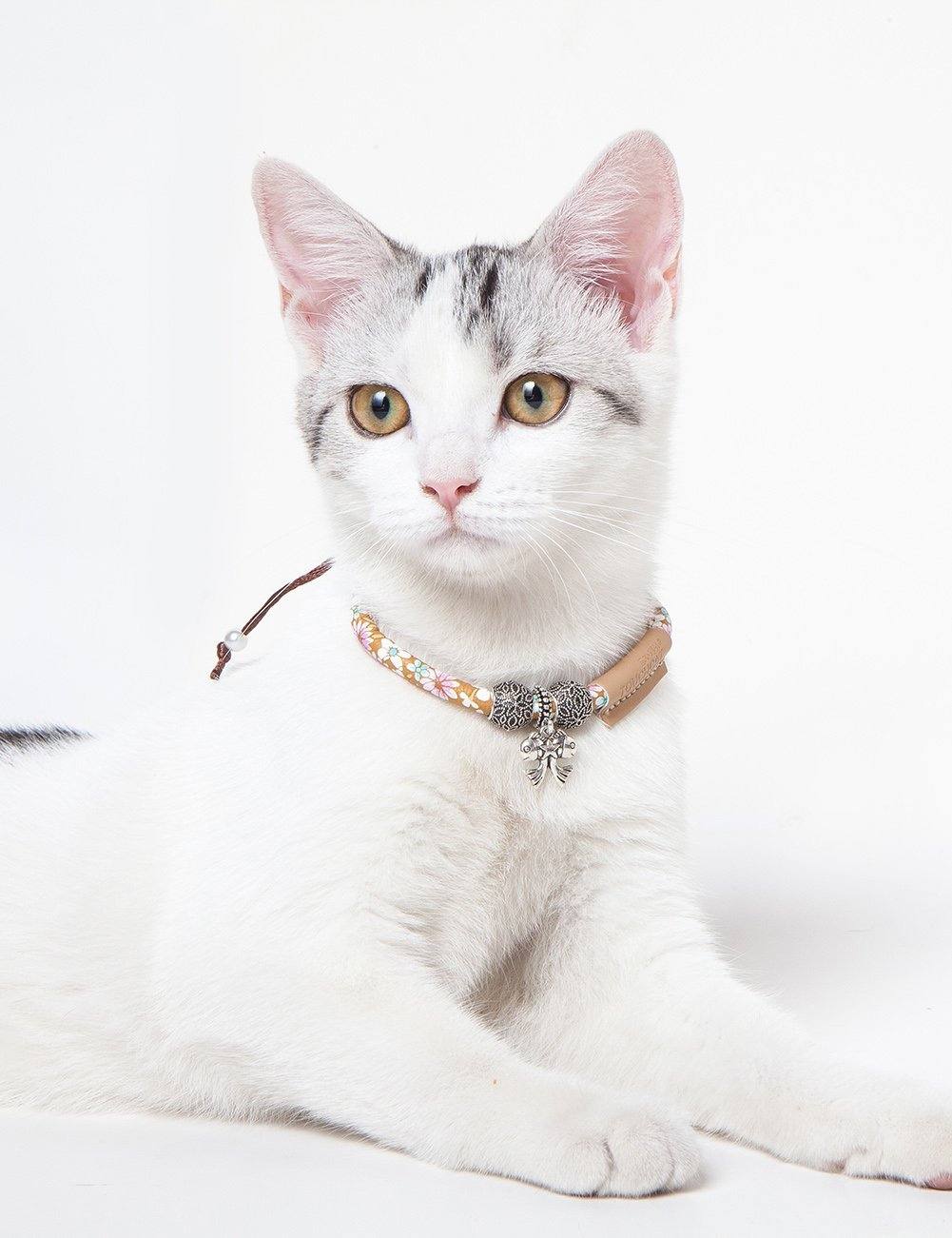 Touchcat Lucky Charms Designer Cable Necklace Cat Collar - P's One-Stop Shop 
