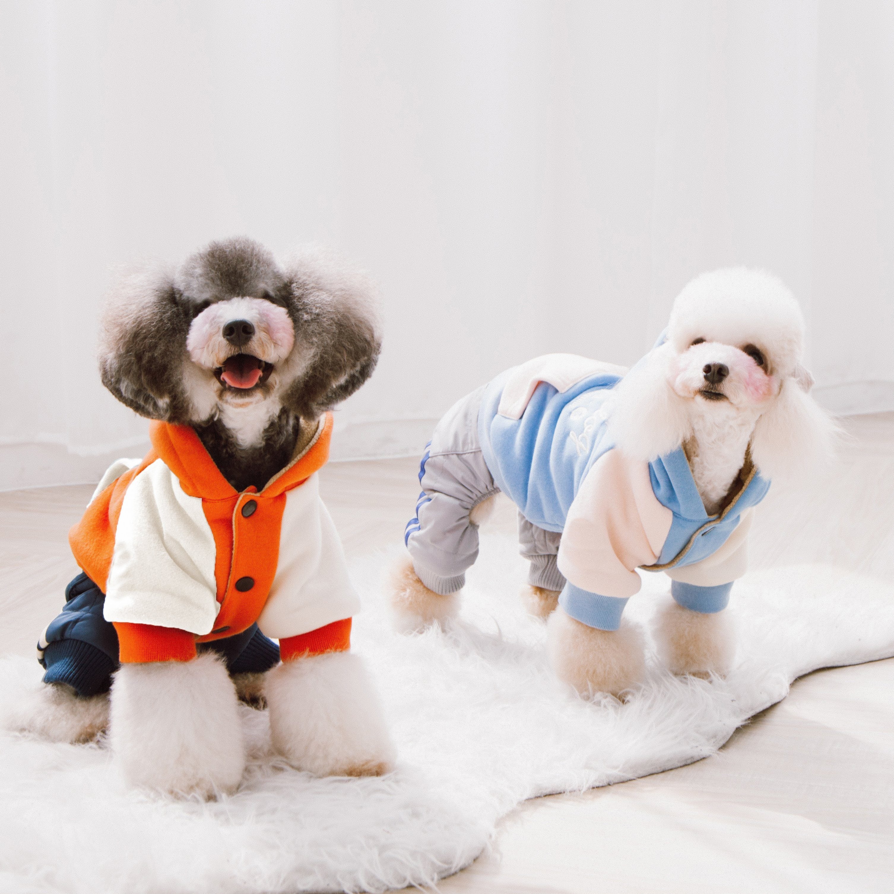 Touchdog 'Heritage' Soft-Cotton Fashion Dog Hoodie Sweater - P's One-Stop Shop 