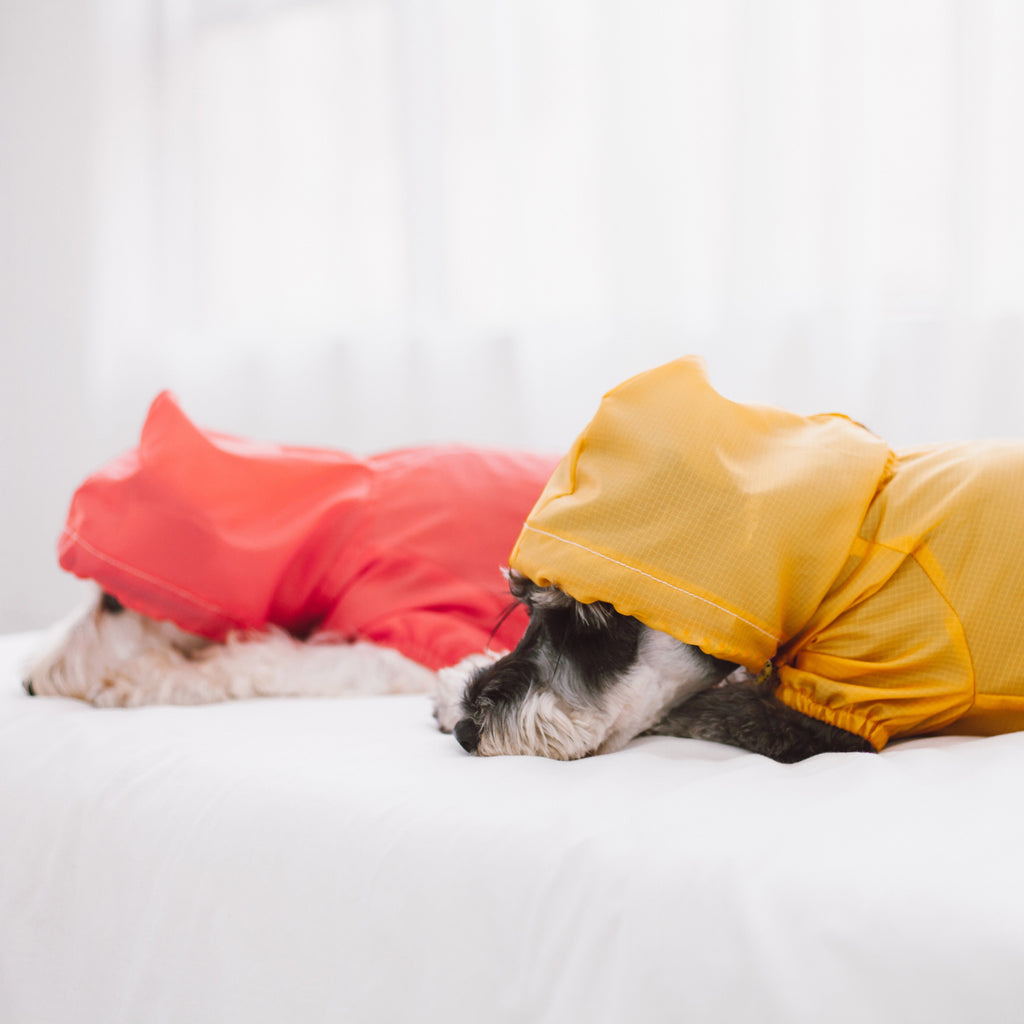 Touchdog Split-Vent Designer Waterproof Dog Raincoat - P's One-Stop Shop 