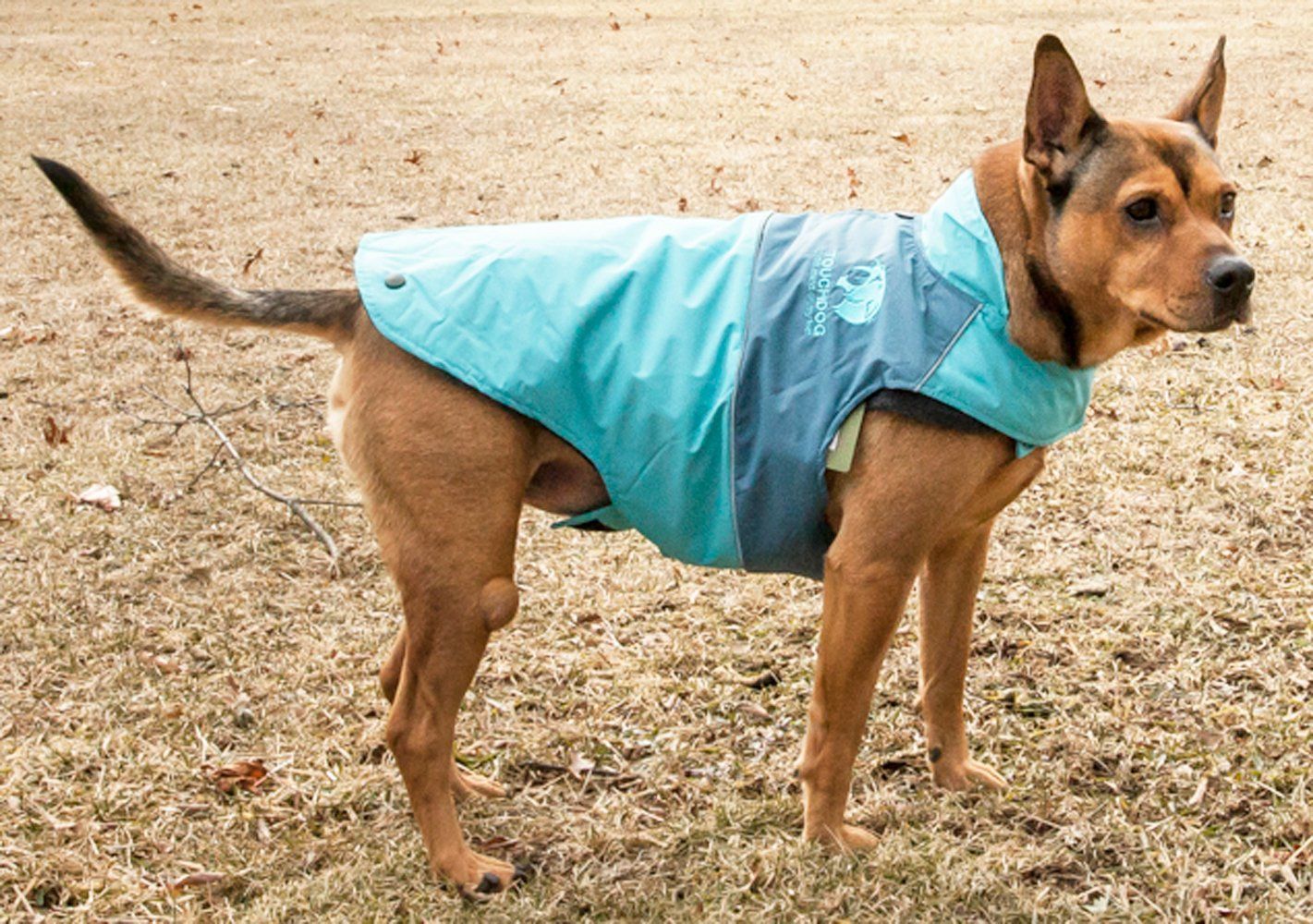 Veste imperméable pour chien Touchdog ® Lightening-Shield 2 en 1 à double couche amovible
