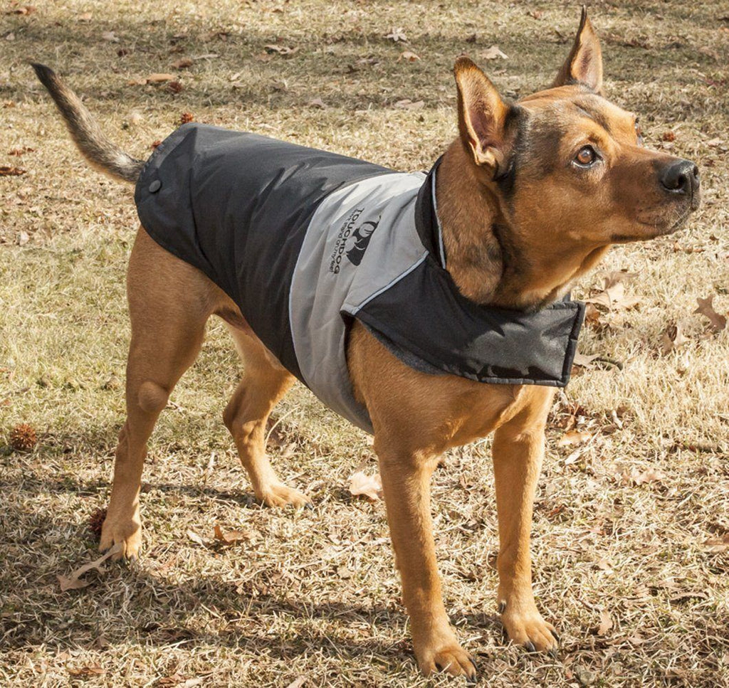 Veste imperméable pour chien Touchdog ® Lightening-Shield 2 en 1 à double couche amovible